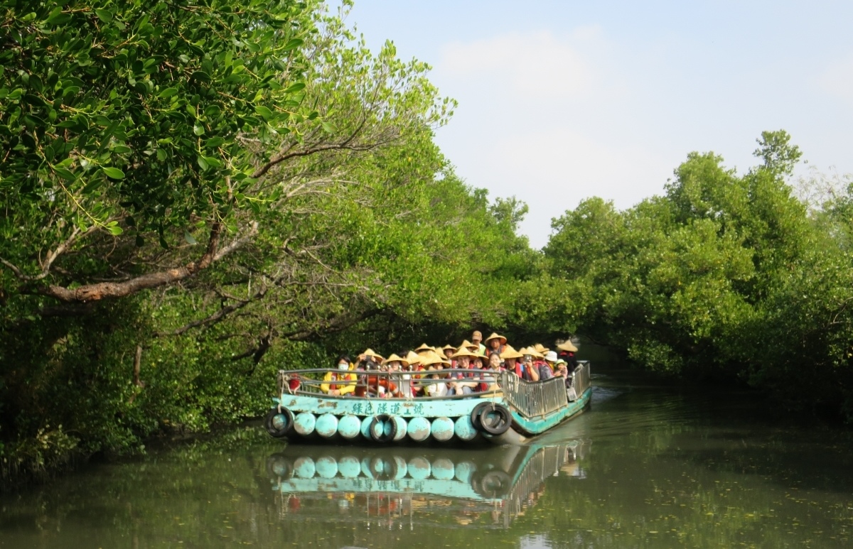 *台南景點*四草綠色隧道，搭乘竹筏遊「台灣版亞馬遜河」，絕美綠色水上隧道!